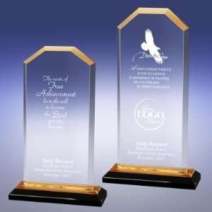    Successories Gold Cornerstone Reflection Award