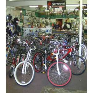Bicycle Bike Repair Complete Business Plan NEW 2008