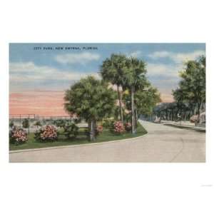 New Smyrna, Florida   Street View of City Park Giclee Poster Print 
