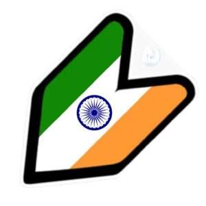  JDM India Indian Flag Car Decal Badge: Automotive