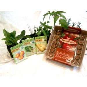  Indoor Medicinal Herbs Garden Starter Kit   Great Gift 