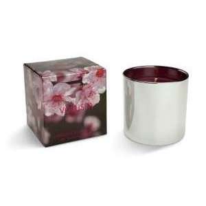  Voluspa Japanese Plum Bloom Metallic Candle 5 oz: Health 