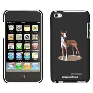  Ibizan Hound on iPod Touch 4 Gumdrop Air Shell Case 