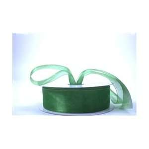  Organza Ribbon   Apple Green (100 yards) Arts, Crafts 