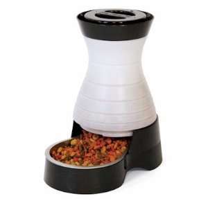  Healthy Pet Feeder