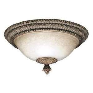  Larissa Collection 16 Wide Ceiling Light Fixture: Home 
