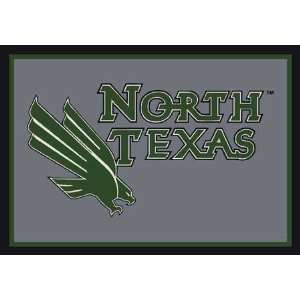    NCAA Team Spirit Rug   North Texas Eagles: Sports & Outdoors
