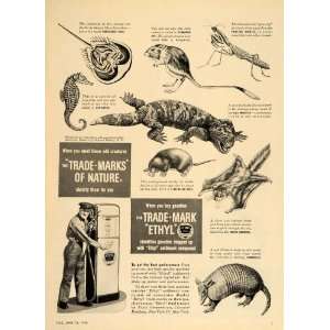  1948 Ad Ethyl Gas Armadillo Gila Monster Kangaroo Rat 