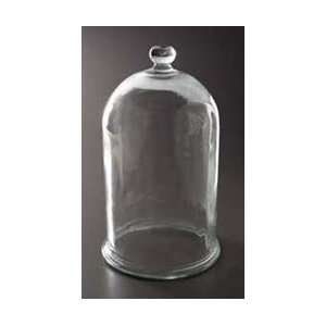  Glass Bell Jar with Molded Knob 