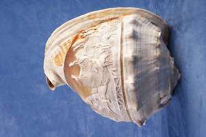 rare shell conch complete cameo victorian english hand  