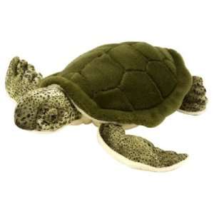  Cuddlecove Green Sea Turtle 8 by Wild Republic: Toys 