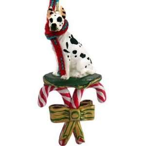  Candy Cane Harlequin Great Dane Christmas Ornament: Home 