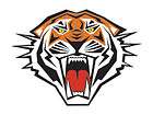 12   Tiger Temporary Tattoos, School Mascot Face MADE in the USA