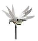   DOVE MOTION DECOY   DOVE N AIR FLAPPING MOTION DOVE DECOY  NEW