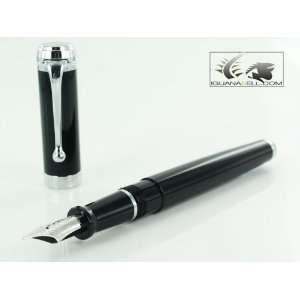   Talentum Black Medium Point Fountain Pen   AU D11N M: Office Products