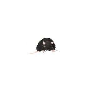  Black Rat Finger Puppet Toys & Games