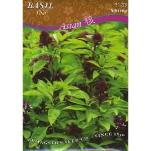  Basil   Thai Patio, Lawn & Garden