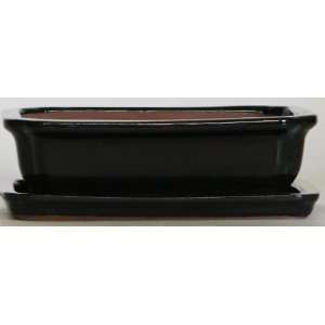 BuyBonsais Bonsai Pot 8 Rectangle Black with Tray  
