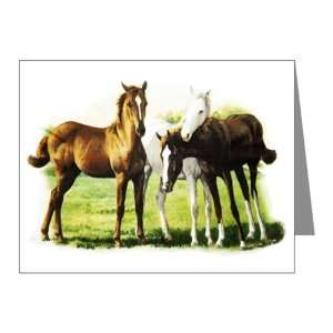  Note Cards (10 Pack) Trio of Horses 