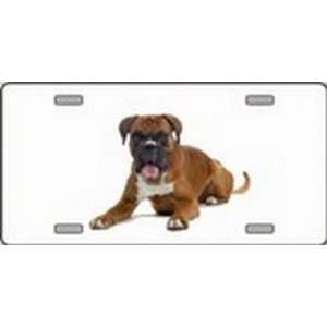 Boxer Dog Pet Novelty License Plates Full Color Photography License 