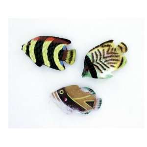  small wood fish magnet   Pack of 50