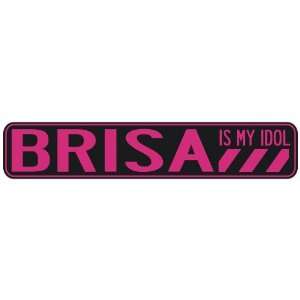   BRISA IS MY IDOL  STREET SIGN