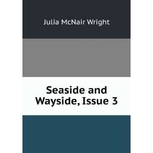  Seaside and Wayside, Issue 3 Julia McNair Wright Books