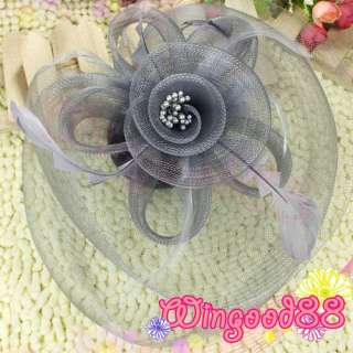 Lady Cocktail Feather Veil Hat Hair Clip Bow Fascinator  