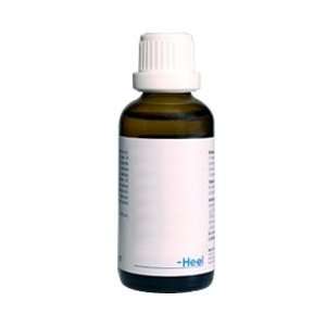  Heel/BHI Homeopathics Syzygium Compositum Rx 50 mL Health 