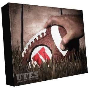  Utah Industrial Football/Hand 16 x 20 Gallery Wrap Sports 