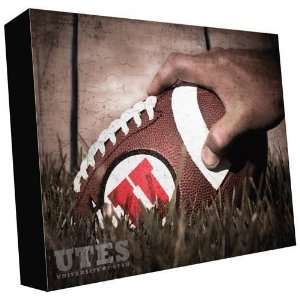  Utah Industrial Football/Hand 16 x 20 Gallery Wrap: Sports 