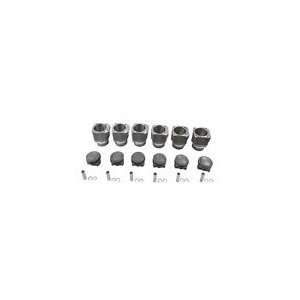 Mahle Motor sport Piston and Cylinder Set