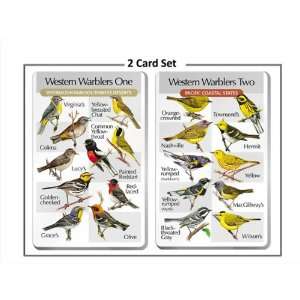   Warblers (2 cards) (Optics, Cameras, Bird Calls): Everything Else