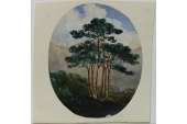 Morgan Antique Trees Watercolour Painting  