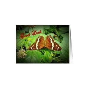  Brown, Red Butterfly    Good Luck Card: Health & Personal 