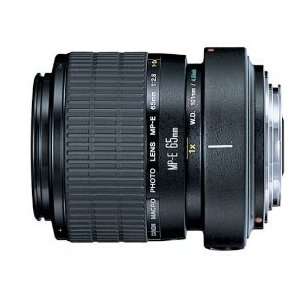  Canon MP E 65mm f/2.8 1 5X Macro Lens for Cano: Camera 