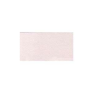 Canson Mi Teintes Tinted Paper pearl grey 19 in. x 25 in 