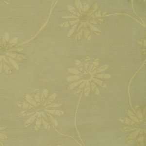  Fabricut Capitola Willow 2953106: Home & Kitchen