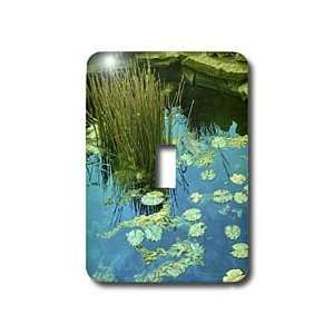 Florene Water Landscape   Peaceful Pond   Light Switch Covers   single 