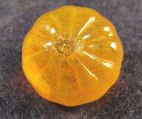 BB Marbles: (SA216) Davis Pumpkin 29/32 9.9  