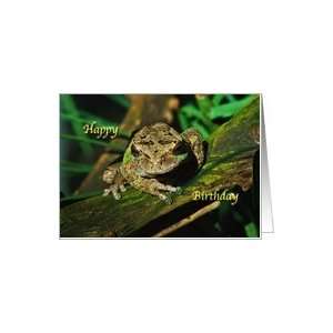  Happy Birthday For the Frog Lover Greeting Card Card 