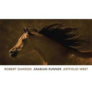  Robert Dawson   Arabian Runner