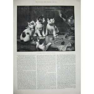 1889 Reichert Fine Art Kittens Tea Pot Table Animals: Home 