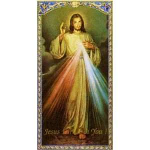  Chaplet of the Divine Mercy Prayer Card Toys & Games