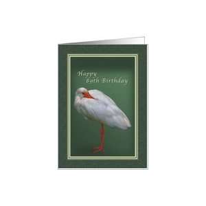  Birthday 89th, White Ibis Bird Card Toys & Games