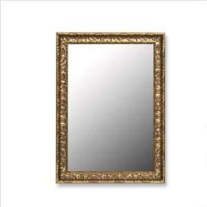  Butterfield Company 27020 Mirror in Antique Mayan Gold Size 30 x 66