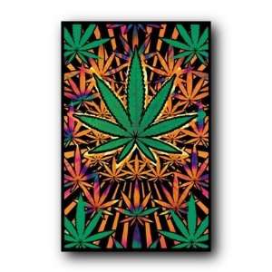  Weed Rush Pot Marijuana Leaf Blacklight Poster New 1880 