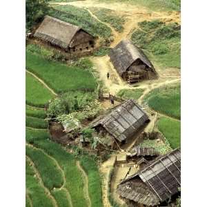 Rice Fields in Sapa Region, North Vietnam, Vietnam, Indochina 