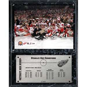  Detroit Red Wings 2002 NHL Stanley Cup Champions Plaque 