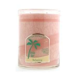   Candles   Relaxing   100% Pure Essential Oil Two Wick Jars 15 oz 70